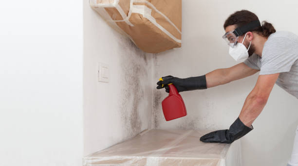 Professional Attic Mold Remediation technician working in Nesconset, NY
